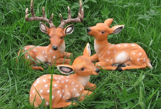 �҂�������һ�³��о��^���������N���֪�����٣�