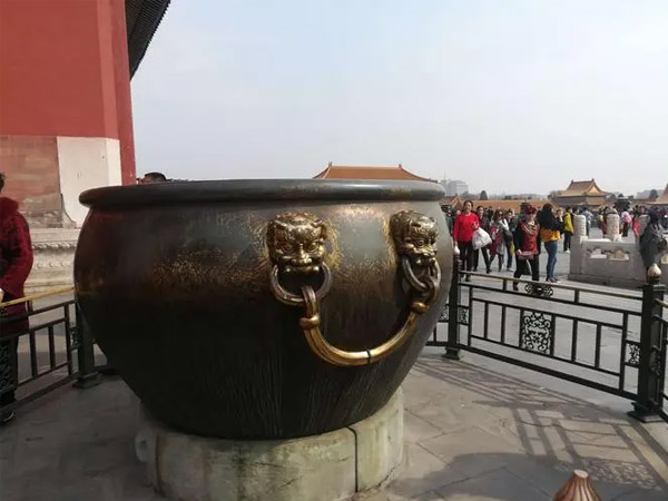 ��ʲô��ô����ϲ�g�T�~������������